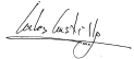 firma_carles_castillo